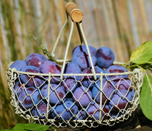 Load image into Gallery viewer, Damson Liqueur organic