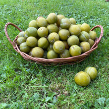 Load image into Gallery viewer, Greengage Jam
