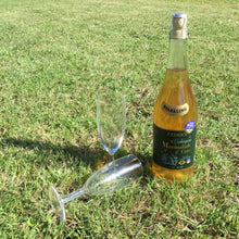 Load image into Gallery viewer, Sparkling Beekeepers Marmalade Cider